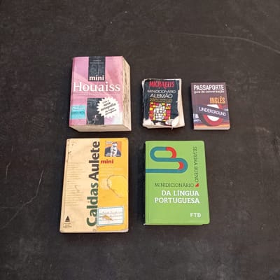 MINI DICIONÁRIOS DIVERSOS