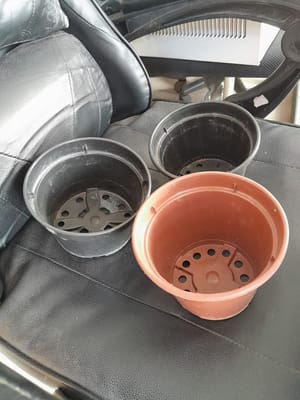 VASOS DE PLÁSTICO PARA PLANTAS