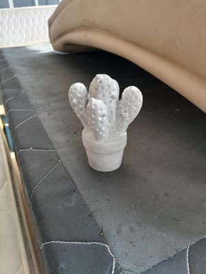 CACTO DECORATIVO